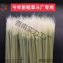 蛐蛐斗草青草开牙草小把约16根大把约30多根蟋蟀用品手工制作