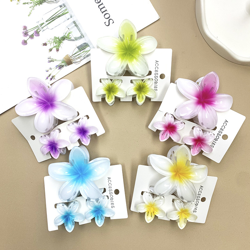 96g Weight Hair Claws Hair Accessories Type 1 Set Quantity Daily Occasion Plastic, Resin Material Plumeria Pattern All Seasons Season Women's Gender Stoving Varnish Design Cute Style Cute Women's Plumeria Plastic Resin Stoving Varnish Hair Claws 7