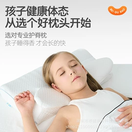 记忆枕;功能枕;坐垫椅垫