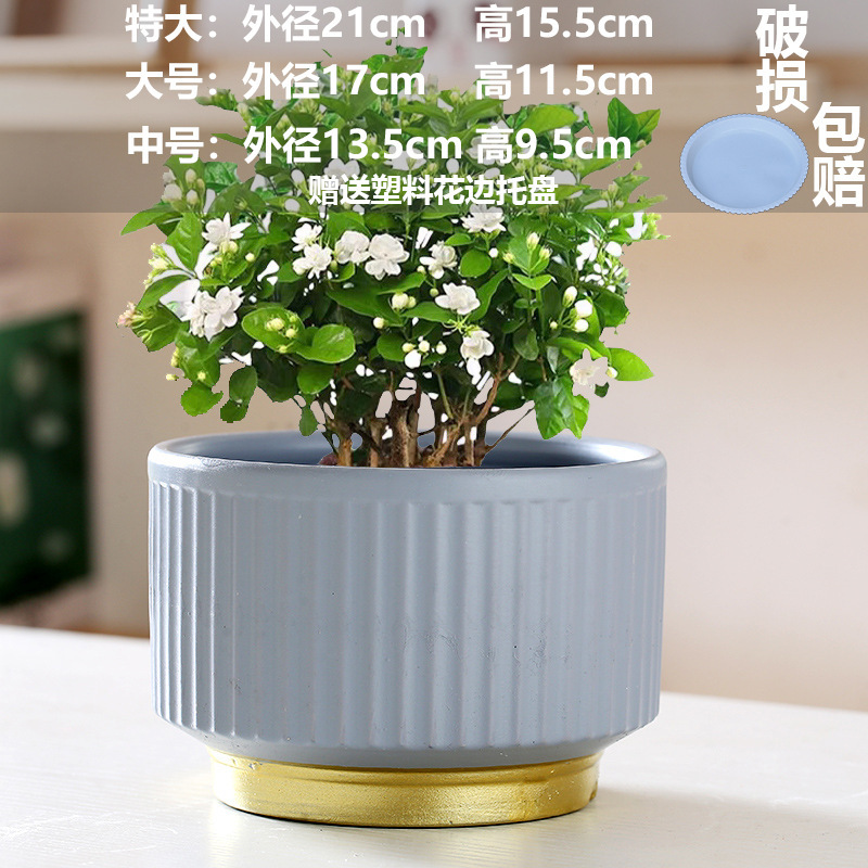 直販の陶器製植木鉢、胡蝶蘭専用鉢、家庭用リビングルーム、一件代発送|undefined