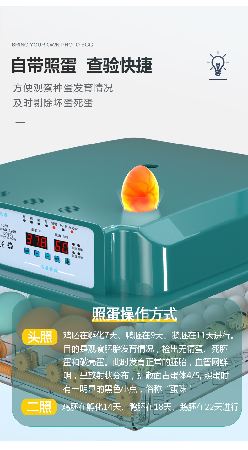 字体检查2_12.jpg
