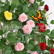 ���滨�ڒ�Ғ컨�ْ�ڱڒ�ٻ�õ�廨�b��p�@�������ՠ��ڵ���