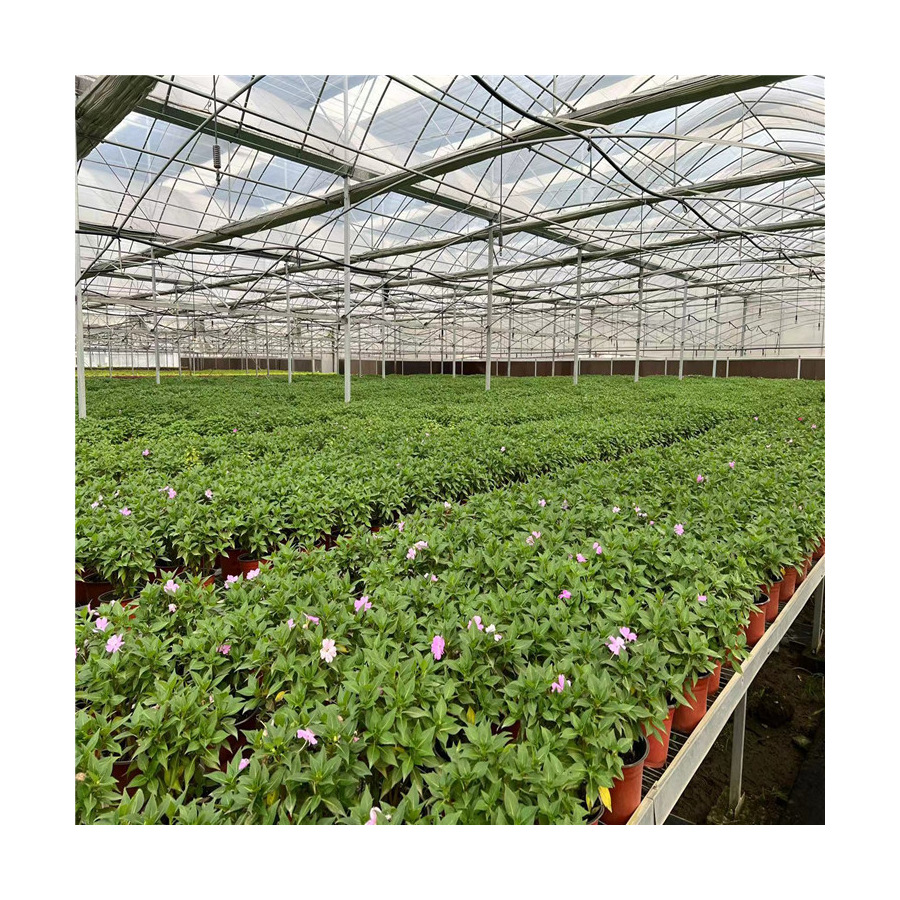 大量批发蔬菜大棚 大棚配件 农用大棚 玻璃温室。温室大棚