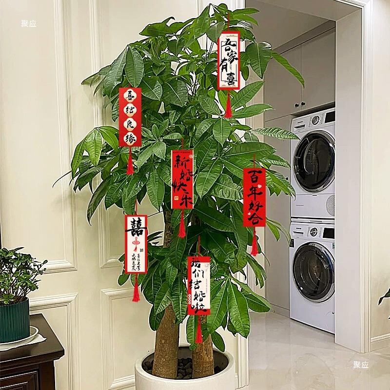 板客厅婚房布置套装结婚装饰新房间摆件男女方卧室婚礼婚庆用品|undefined