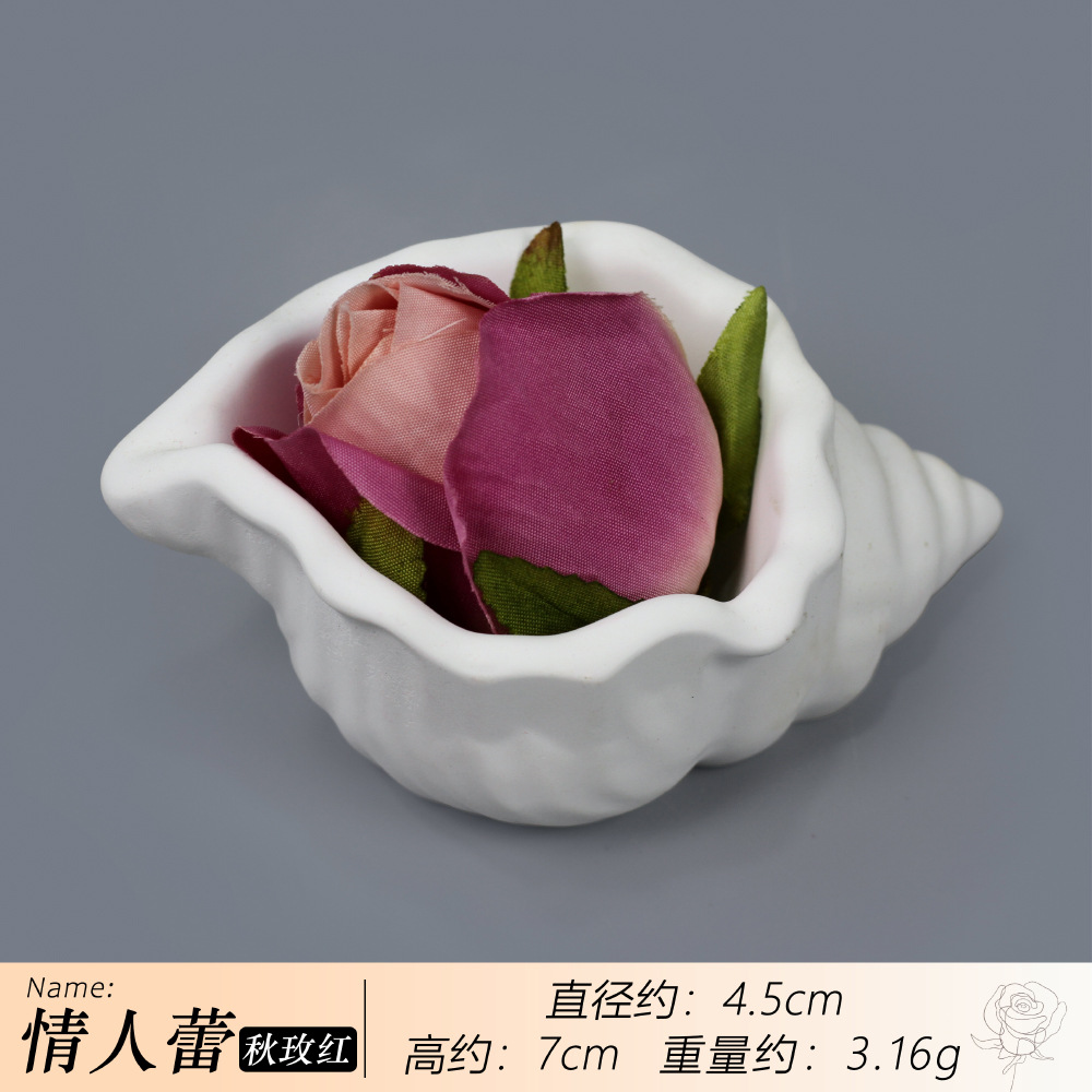 가을 로즈 레드