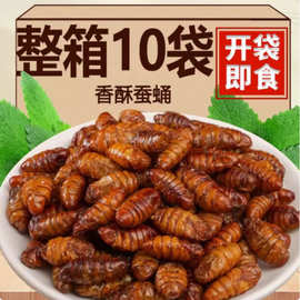 蚕蛹开袋即食蝉蛹鲜活大茧蛹子新鲜食用香酥油炸五香熟食山东特产