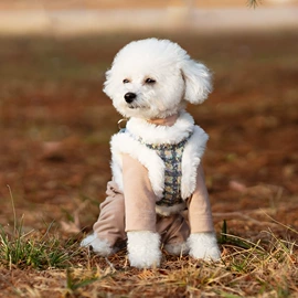 狗狗服装;狗狗牵引