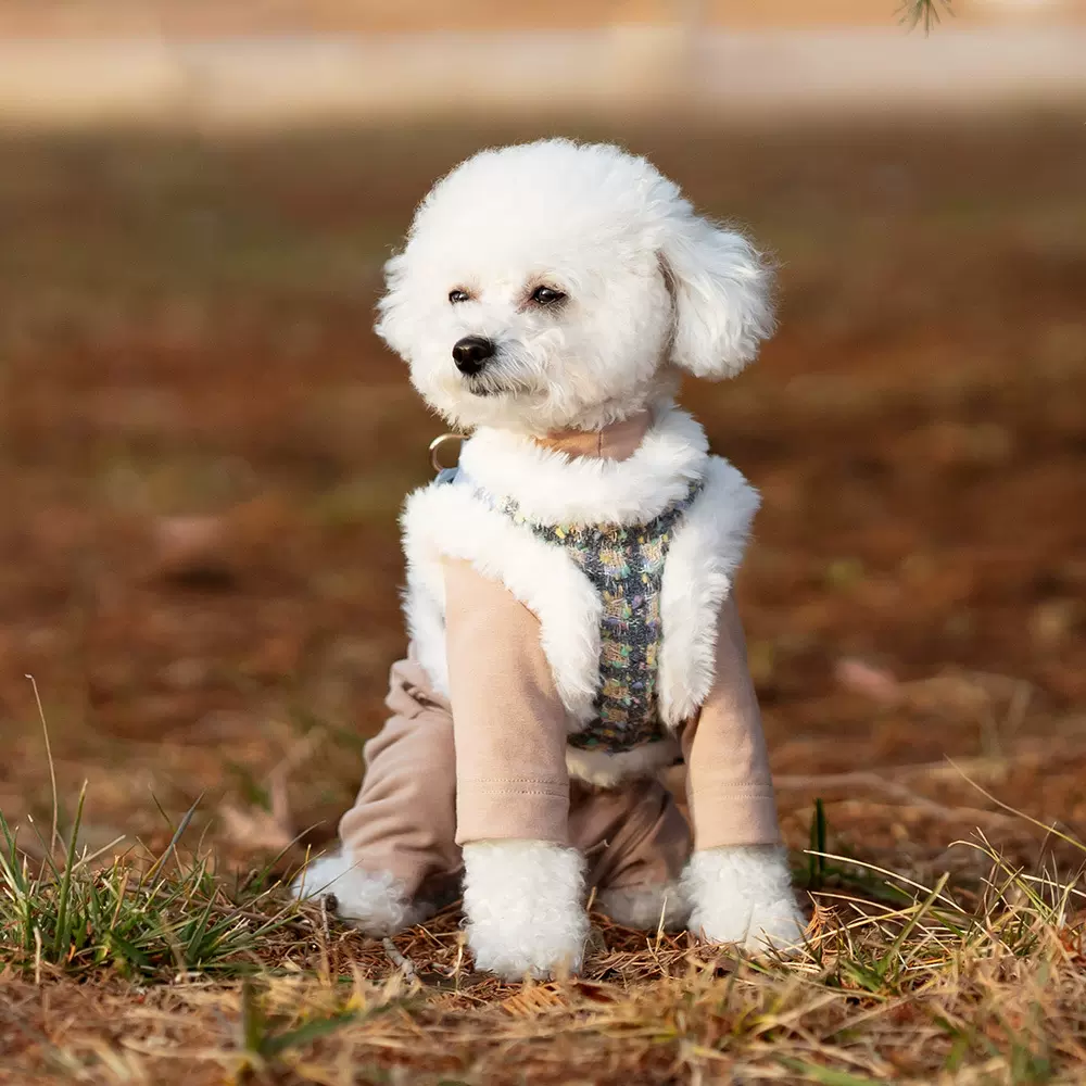 日韩2026新款胸背带户外保暖小香风高端定制狗狗胸背牵引绳小型犬