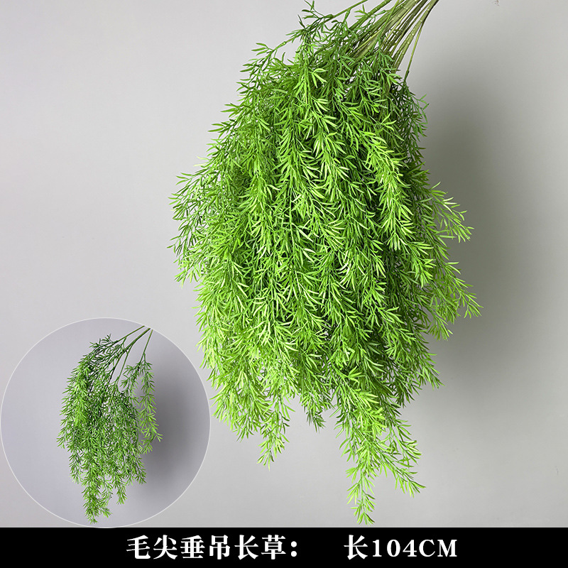 Hairy tip hanging long grass