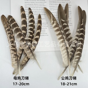 �S��ֱ�Nĸ�u�C����u�C�ṫɽ�u�C����ȻҰ�uDIY������ë�b�Ʒ