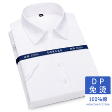 雅戈尓衬衫女短袖抗皱免烫夏季纯棉V领修身职业衬衣工作服正装