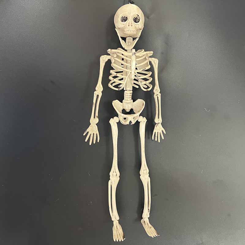 Halloween cráneo esqueleto fantasma casa bar decoración apoyos 40cm simulación Cuerpo Humano esqueleto de plástico colgante adornos