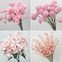 10֦�b��ɫ���滨��c������Y�����b��ļٻ��������Ĳ廨��ˇ