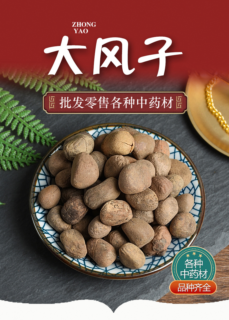 Da Feng Zi (Hydnocarpus anthelminticus) — Dried Chaulmoogra Seeds, Raw Herb Supply overview