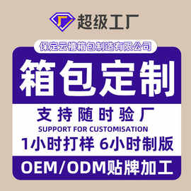 箱包定制OEMODM跨境国内品牌女包来图来样定制改款单肩斜挎双肩包