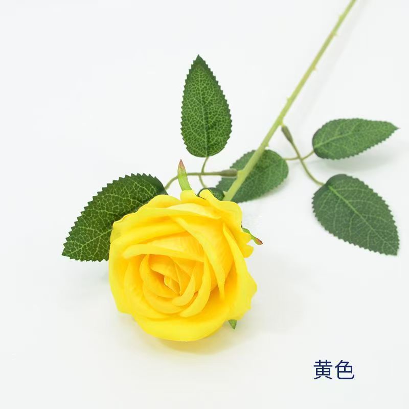 Velvet Rose-yellow