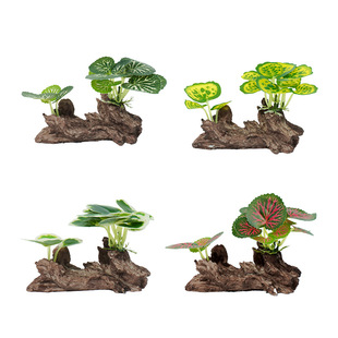 ����ˮ��ֲ���~���쾰�[������ľˮ���쾰�b��~�ה[��ֲ���쾰25