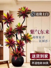 变叶木客厅绿植高级感大型植物变色木盆栽室内旺宅落地大气上档次