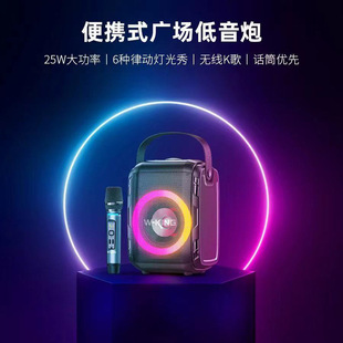 �S����T9S�{�����������ʽ�o��ԒͲ�����Ɍ��V�����������