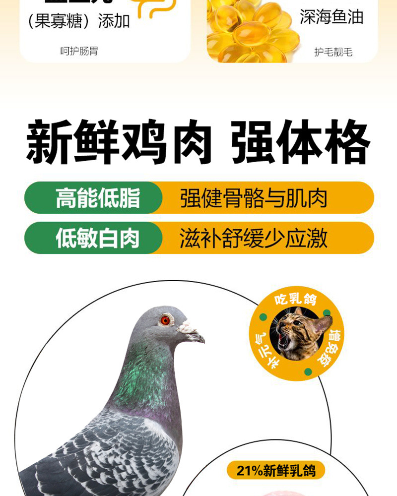 d634320a-936f-470f-a081-935f305a106f.jpe