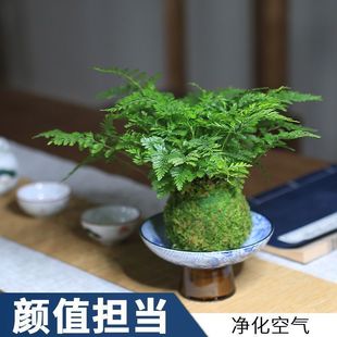 �����βާ�ֲ����������̦�\�Gֲ�҃��쾰�����՚��k�����k����