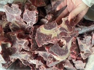 ����ţ���ǵؔ�ţ��ţ�ǵ����������l������̌���