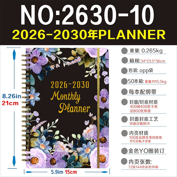 10--5 years--2026-2030 plan