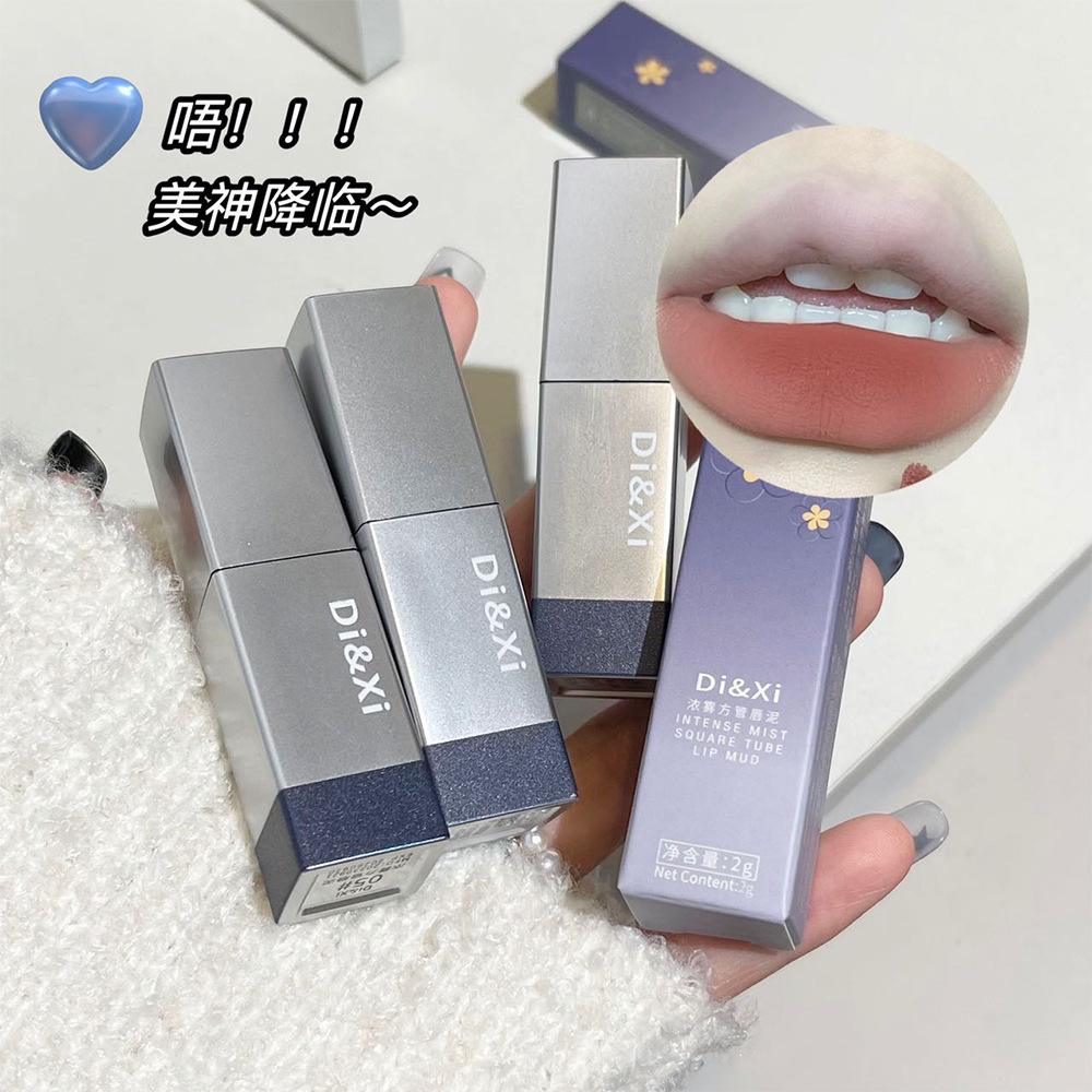 跨境DI&XI浓雾丝绒唇泥哑光显白方管口红提色百搭平价彩妆批发