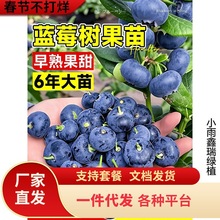 {ݮ{÷ش̨̖҃ͺϱļY