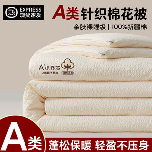 2025�¿�ȫ�޼���100%�½��޻�ȫ�޼��ޱ��ӱ�о С��оϵ��