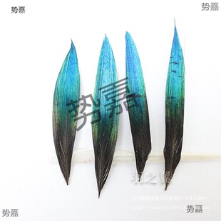 ��ȸë�c���c����ë�ϝ{��ȸ�������PƬDIY�ֹ��Ʒ�b��������
