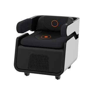 Ofan Massage Chair Magic Chair Pelvic Floor Muscle Pulse Lumbar Spine Repair Pelvic Floor Muscle Beauty Salon Massage Instrument Cross-Border
