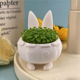 ����ɐ������L���������� �k��������Gֲ�[�� DIY�Nֲ���㻨��