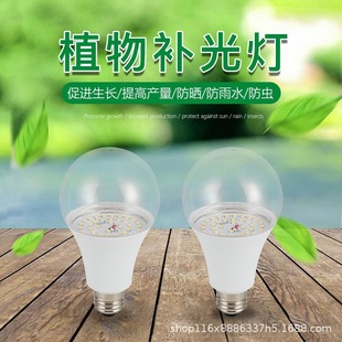 LED imitation sunlight flower green plant fill light moss fleshy dragon fruit chrysanthemum fruit and vegetable LED plant growth light