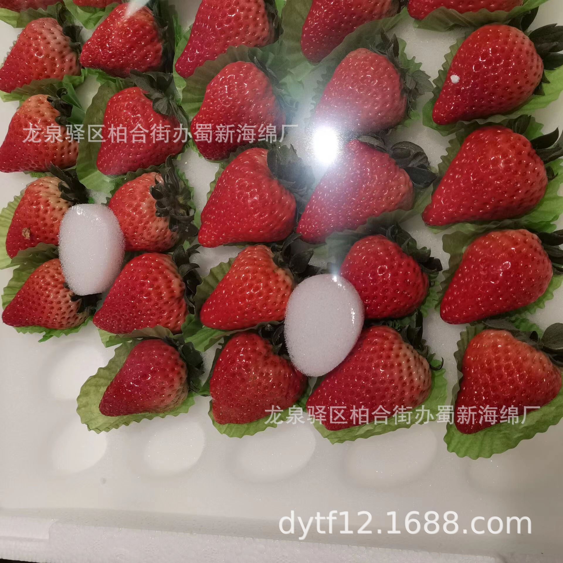 草莓托海绵包装/草莓缓冲海绵包装/草莓防损海绵包装草莓海绵内托