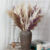 reed Bouquet of flowers Dried flowers reed Amazon Cross border Pampas Rabbit tail grass Whisk Bouquet of flowers wholesale