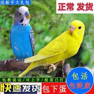 ���l��Ƥ���B�B�������P�^�p�B�B��fԒ���B�B�B�W�^�����BС