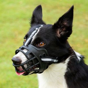 Dog Muzzle Anti-Bite Mask Anti-Eating for Medium and Large Dogs Labrador Pet Anti-Barking Muzzle Mouth Cover