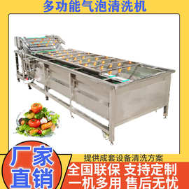 商用蔬菜气泡清洗机 净菜加工设备 定制连续式果蔬加工成套机械