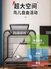 鸽子笼家用特大号养殖笼双层繁殖配对笼斑鸠新型鸽舍鸽笼