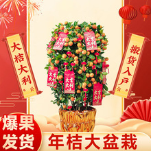 ��ۘ����Ԏ�������ļ�����Gֲ���҃ȿ͏d����������ؔ�_�I�ͶY