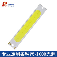 长方形16*89mm红白光双色COB光源 集成倒装芯片异形LED灯珠