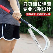 �㴻���㽶�����s�ݹ�ľ����ݿ���֦���|䓲Ŀ��ٶ๦�ܽ�߶��