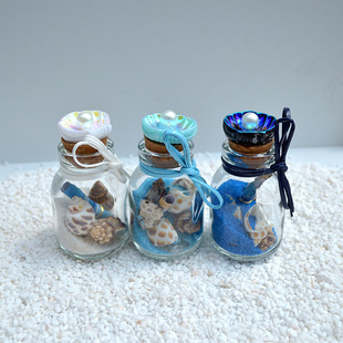 Natural Conch Shell Wishing Bottle Drift Bottle Ocean Bottle Tourist Attraction Gift Box Birthday Gift Pendant Good Luck