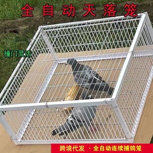 ���������������\ȫ�Ԅӷ��Pֻ�M���������\ײ�T�\���ӻ�������