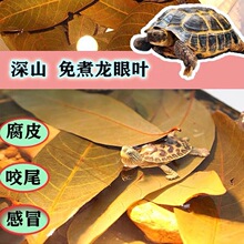 �����~�B���ί���Ƥ�����쾰ˮ��tɫ���A���~���{������ˮ�|����