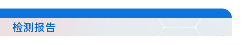 检测报告
