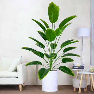 ���ͱ��W����ֲ������㽶�~���˽��Ž��~�����҃ȿ͏d�b��쾰