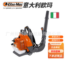 �����ŷ��BV250��BV163��BV901�������ѩ�� ɭ������ȼ�ʹ����