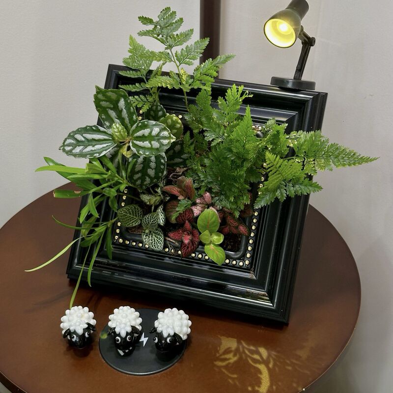 Insert plants into a picture frame to create a DIY green plant frame, grow flowers and plants, create a desktop decoration, and make a modern decorative painting Insert plants into a picture frame to create a DIY green plant frame, grow flowers and plants, create a desktop decoration, and make a modern decorative painting
